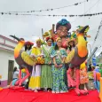 Comparsas de Toro en Las Fiestas del Dovio
