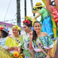Comparsas de Toro en Las Fiestas del Dovio