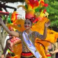 Fiestas Cívicas Zarzal 113 Años