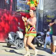 Fiestas Cívicas Zarzal 113 Años
