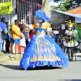 Fiestas Cívicas Zarzal 113 Años